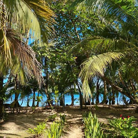 Drago Beach House - Private Beach Boca del Drago Esterno foto