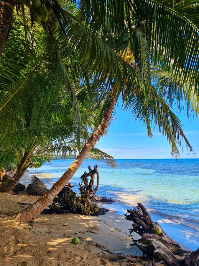 Drago Beach House - Private Beach Boca del Drago Esterno foto