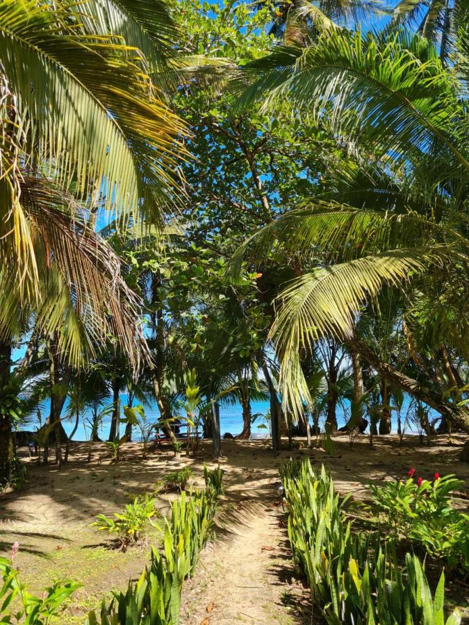 Drago Beach House - Private Beach Boca del Drago Esterno foto