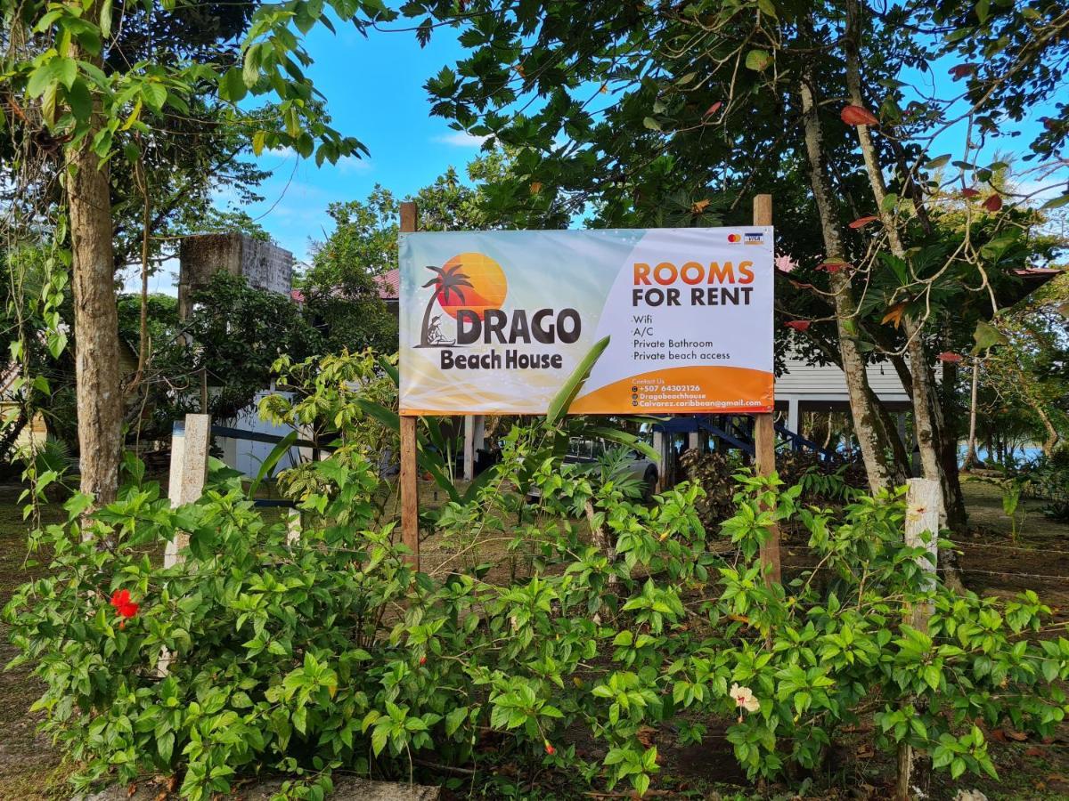 Drago Beach House - Private Beach Boca del Drago Esterno foto