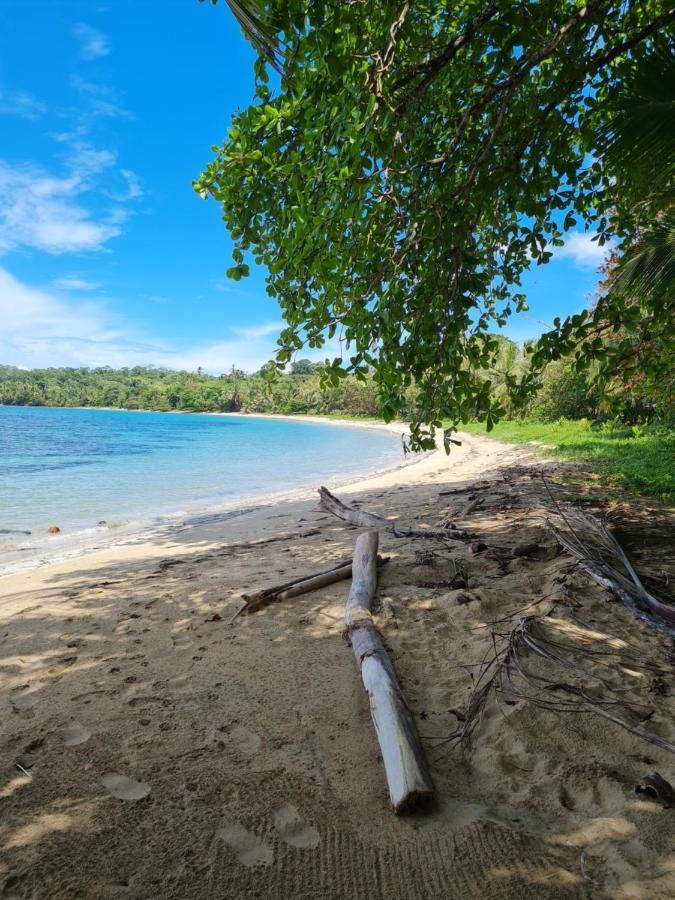 Drago Beach House - Private Beach Boca del Drago Esterno foto