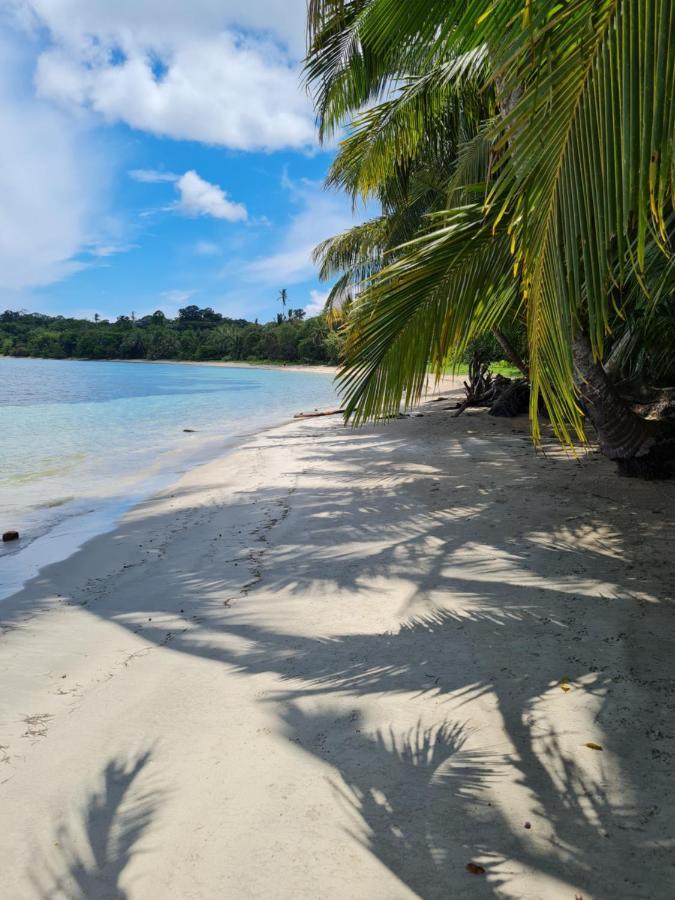 Drago Beach House - Private Beach Boca del Drago Esterno foto