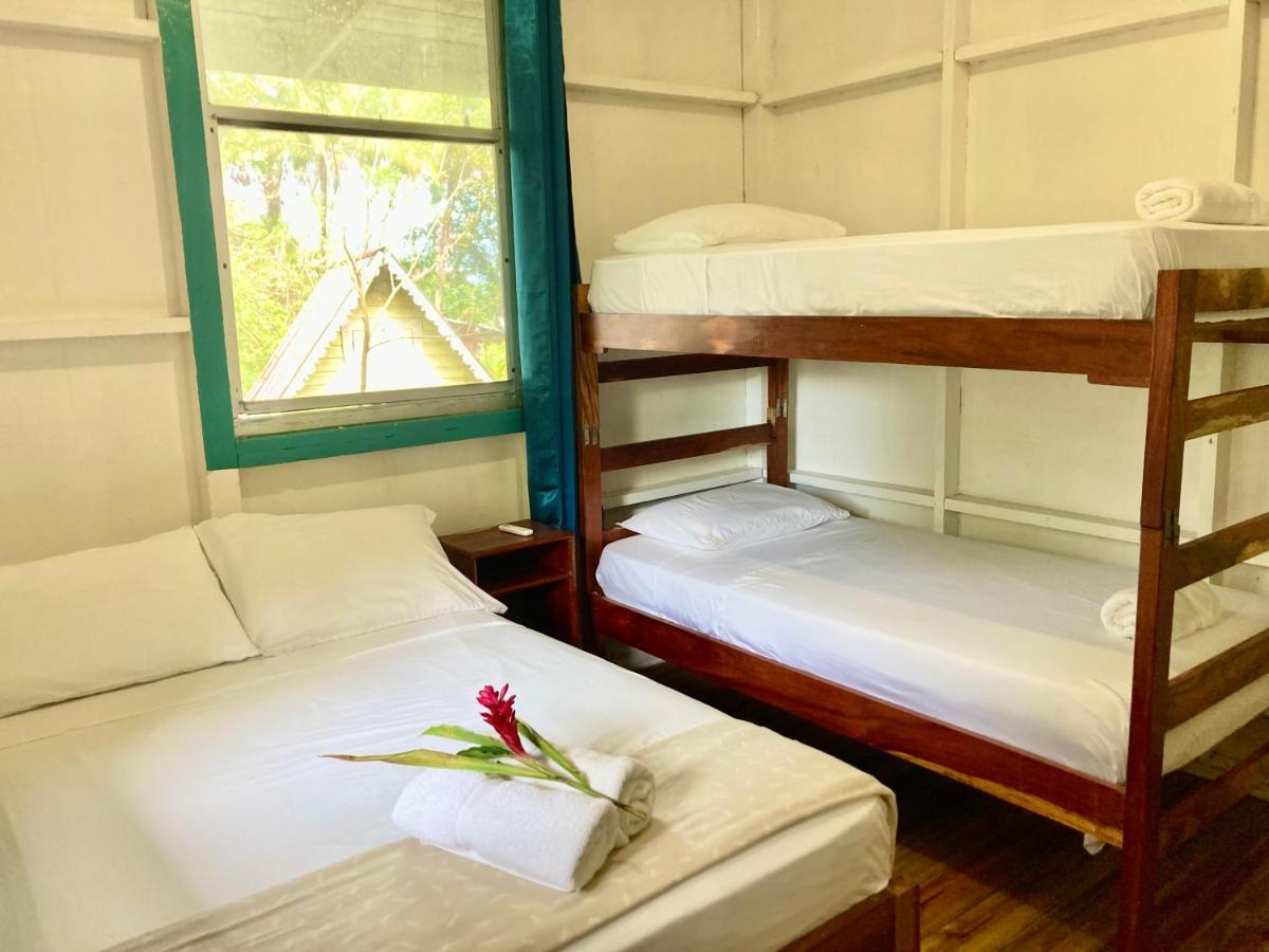 Drago Beach House - Private Beach Boca del Drago Esterno foto