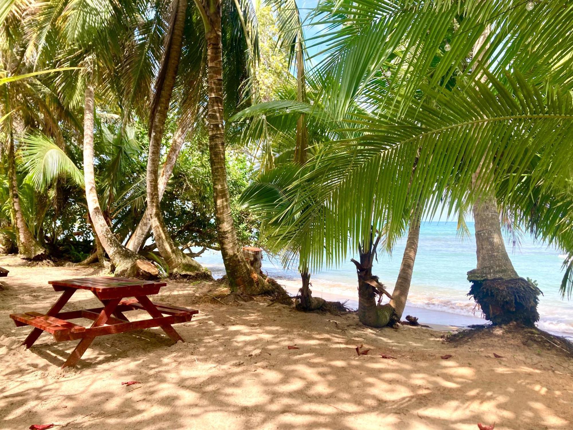 Drago Beach House - Private Beach Boca del Drago Esterno foto