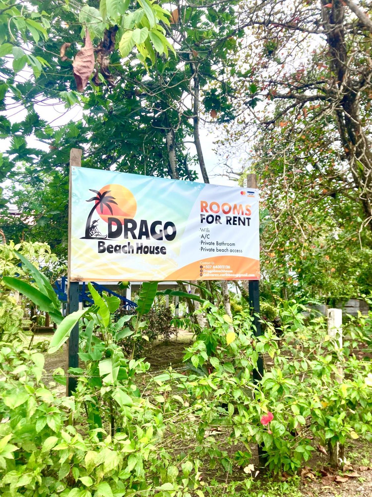 Drago Beach House - Private Beach Boca del Drago Esterno foto