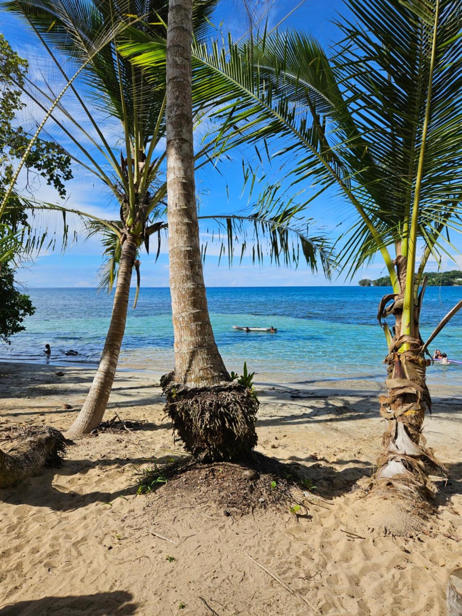 Drago Beach House - Private Beach Boca del Drago Esterno foto