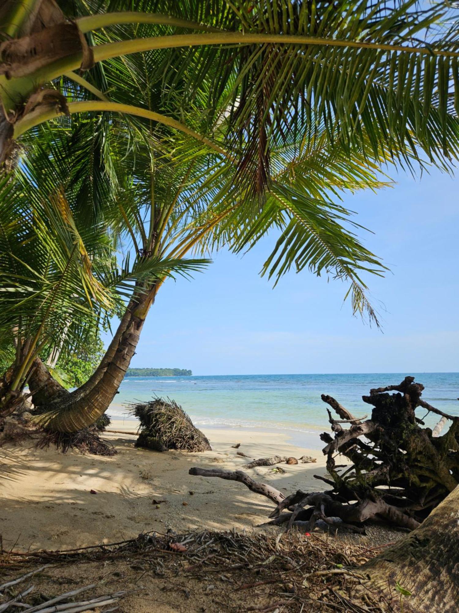 Drago Beach House - Private Beach Boca del Drago Esterno foto