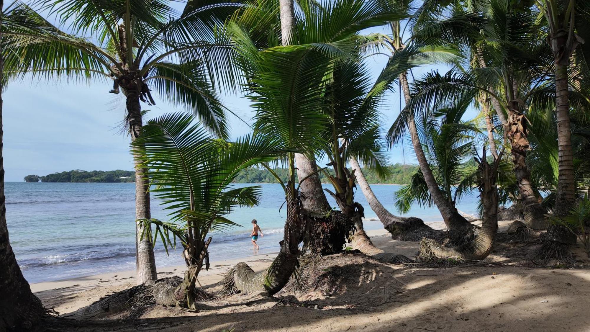 Drago Beach House - Private Beach Boca del Drago Esterno foto