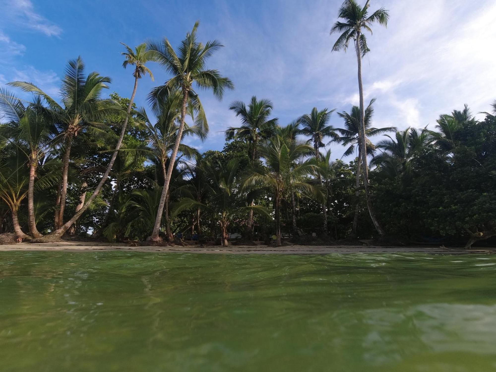 Drago Beach House - Private Beach Boca del Drago Esterno foto