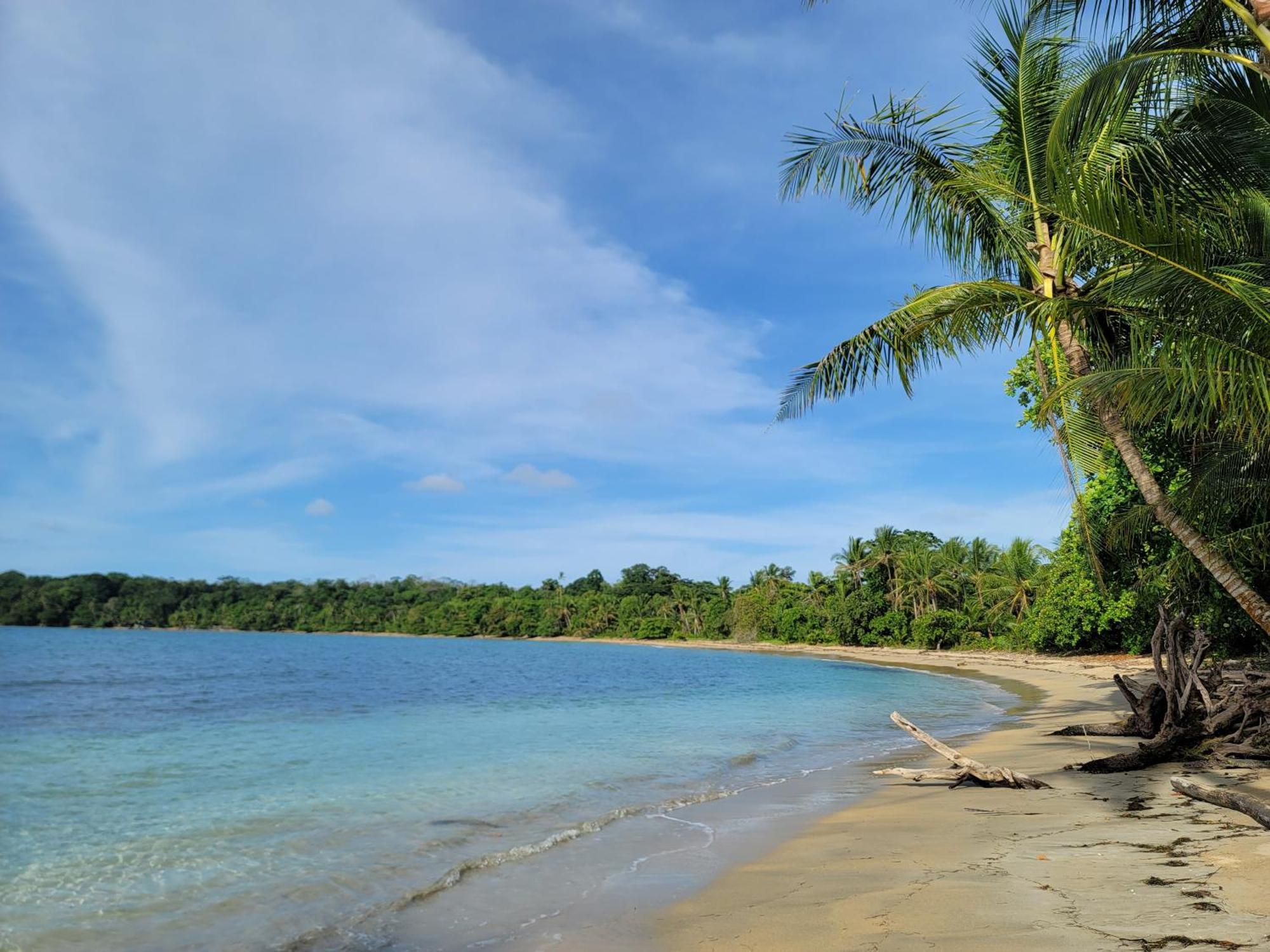 Drago Beach House - Private Beach Boca del Drago Esterno foto