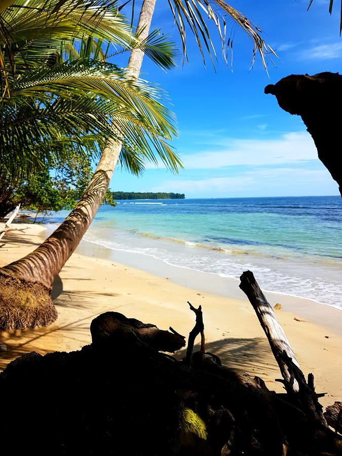 Drago Beach House - Private Beach Boca del Drago Esterno foto